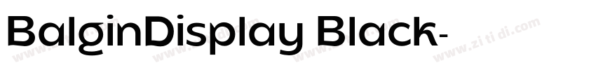 BalginDisplay Black字体转换